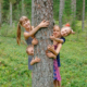 Vier Kinder die sich im Wald hinter einem Baum verstecken.